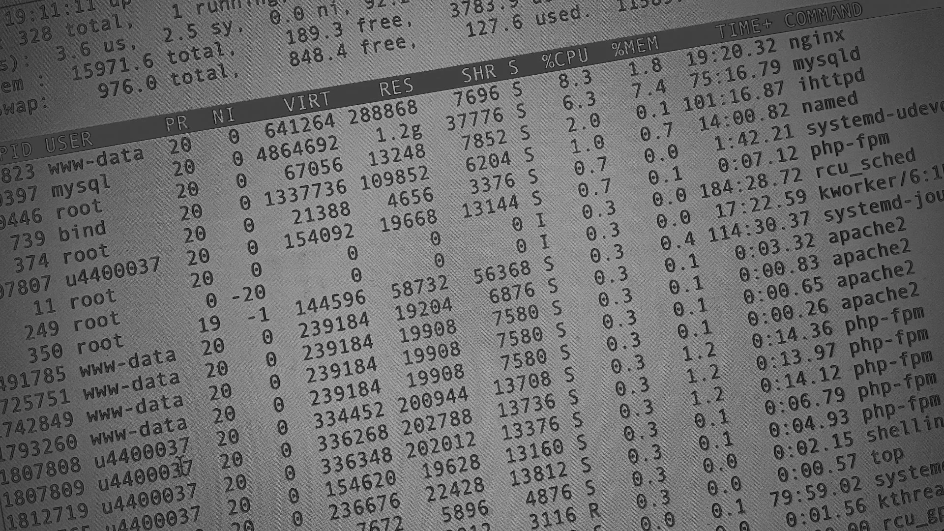 Настройка сервера в Хилоке