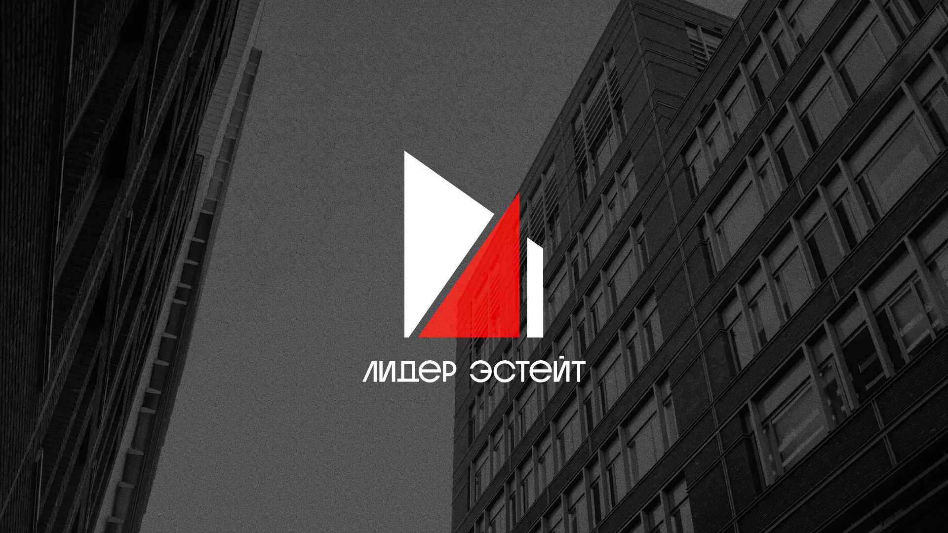 Сделали логотип для агентства недвижимости «Лидер Эстейт» в Хилоке